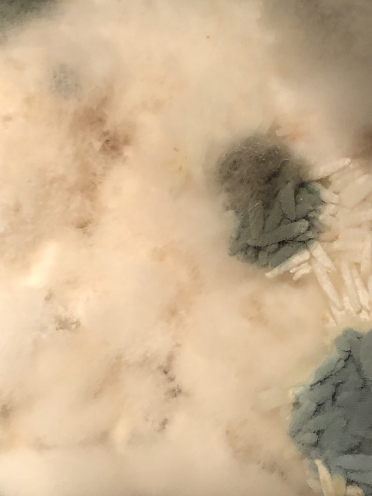 Here we see an absolutely epic close-up of moldy, steamy, foggy rice. It looks so big and epic that one could imagine the rice is a landscape and the steam over it the dense atmosphere. 
