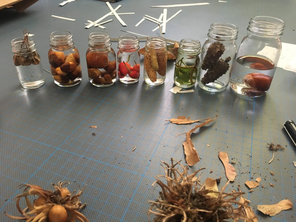 Different sized glass jars with different forest bits submerged in a clear liquid on a cutting mat. 
