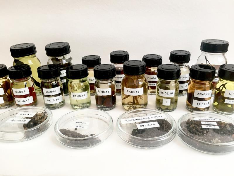 Sixteen clear glass jars with black lids, and 4 clear, covered petri dishes, all with horizontal white labels printed in black ink are sitting upright on a horizontal surface. Various natural materials (flowers, soil/dirt, leaves, stones, seeds, fruit, herbs), and liquids of varying colors; red, yellow, brown, fill the containers. Some of the labels have names of people or streets on them, all are accompanied dates.