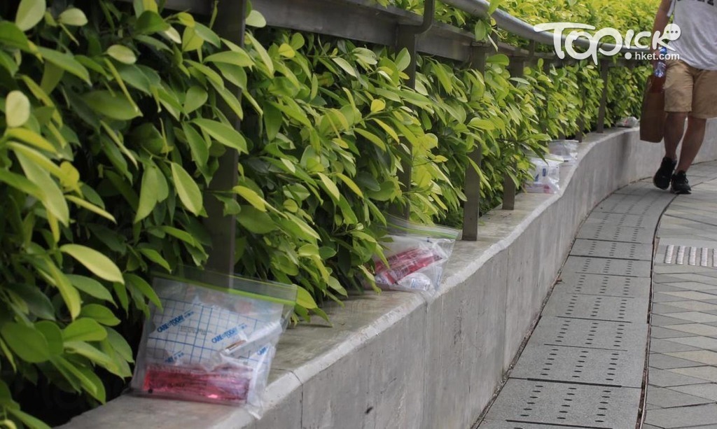 First-aid kits that looks like zip-lock bags with pink disinfectant solution, saline and bandages, were left along the roadside next to some plants. They were arranged in a straight line around 1 metre apart.