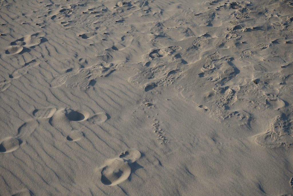 Photograph of sand 2