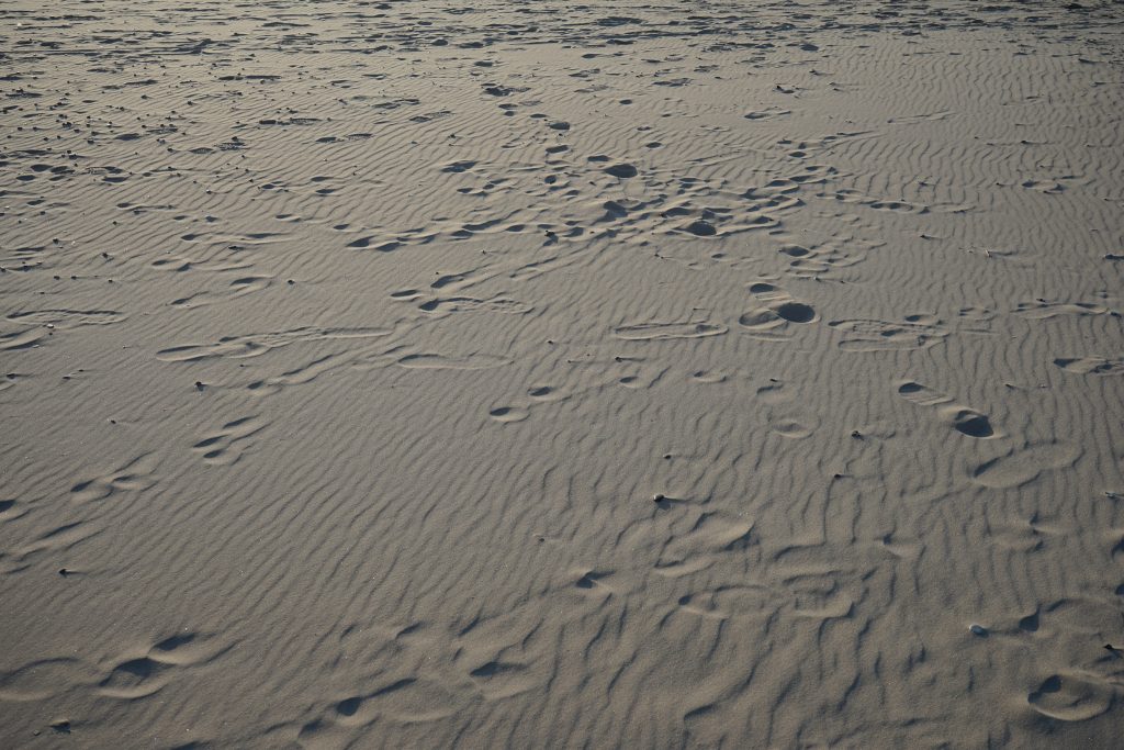 Photograph of sand 3