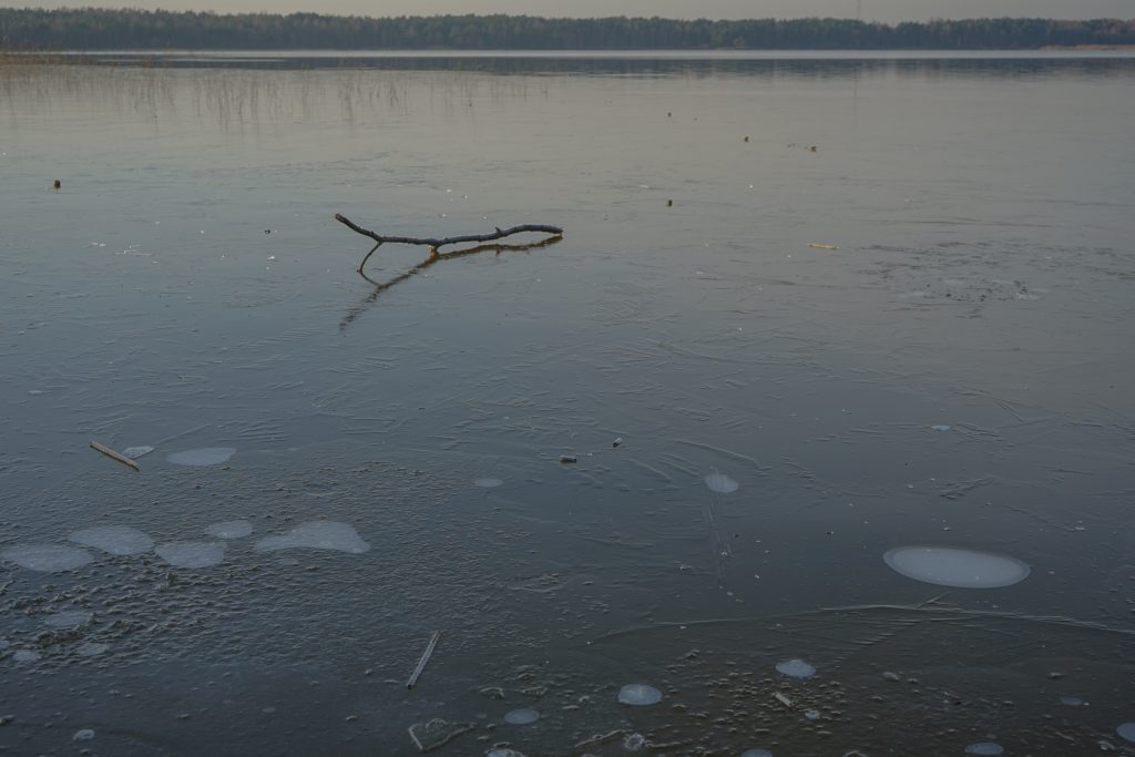 a large twig on the frozen surface of the lake.
