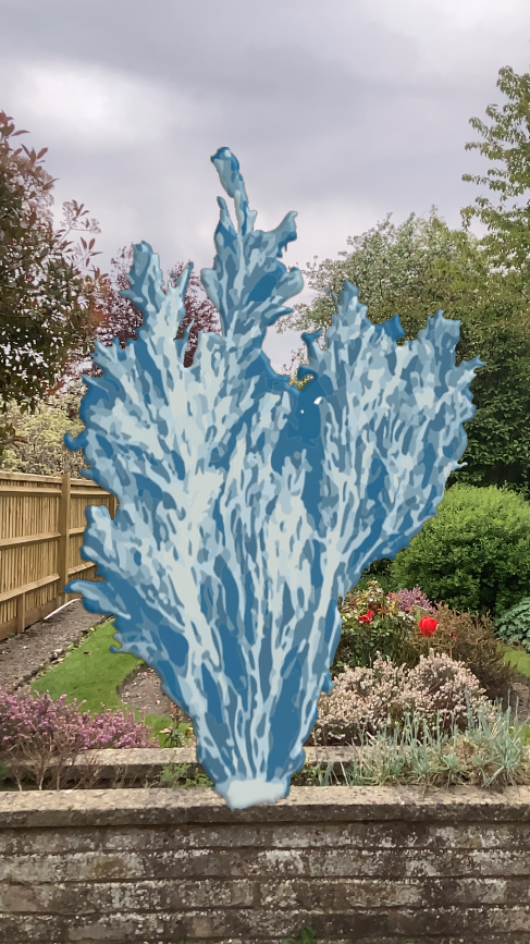 A cut out of an Anna Atkins cyanotype that is floating in the air with a garden behind it. If you click on the link it will take you to footage on YouTube of me walking around the work.