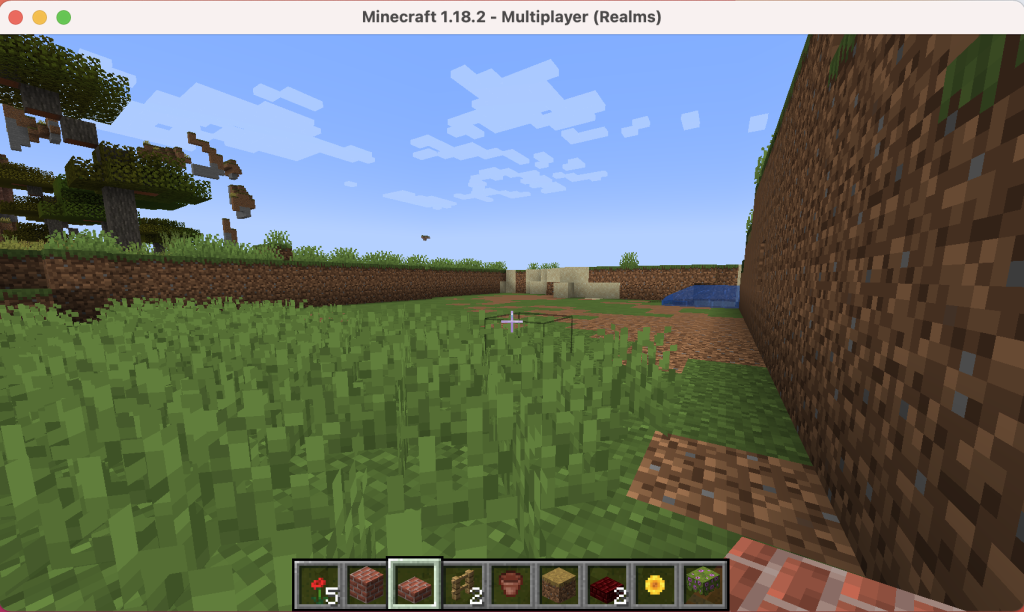 Screen shot taken from Minecraft of the land before I started creating.