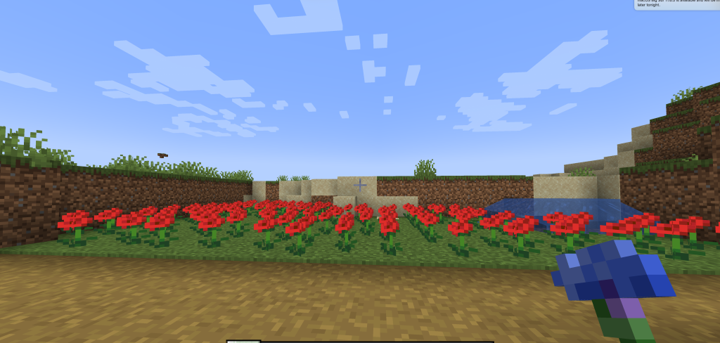 Screenshot in Minecraft of the poppy field and dirt path I created.