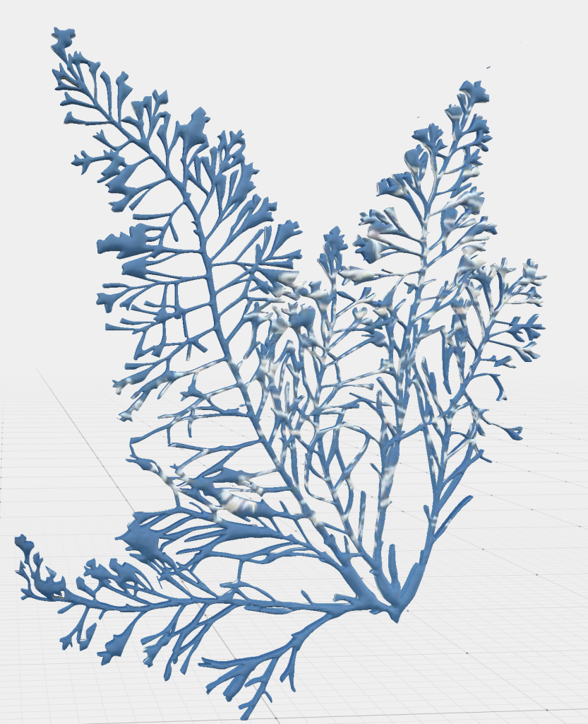 Anna Atkins cyanotype that I've edited in Adobe Illustrator and now in Vectary with the print of the outline of the plant as a material. If you click on the link you should be able to see it in Vectary. 