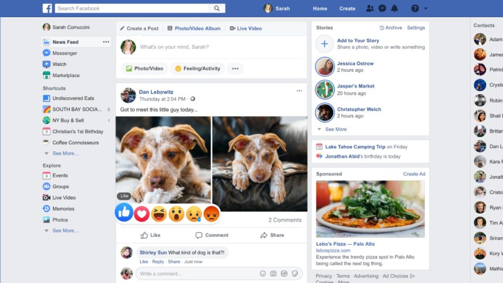Screenshot of a person's Facebook newsfeed homepage showing dog photos and emoji reactions. 