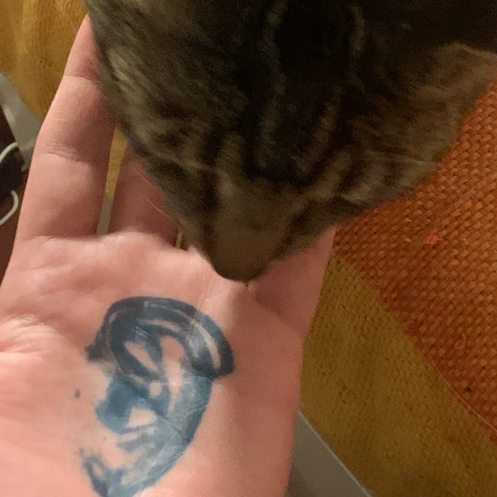 My cat is sniffing closely my left hand, curious about the temporary tattoo.