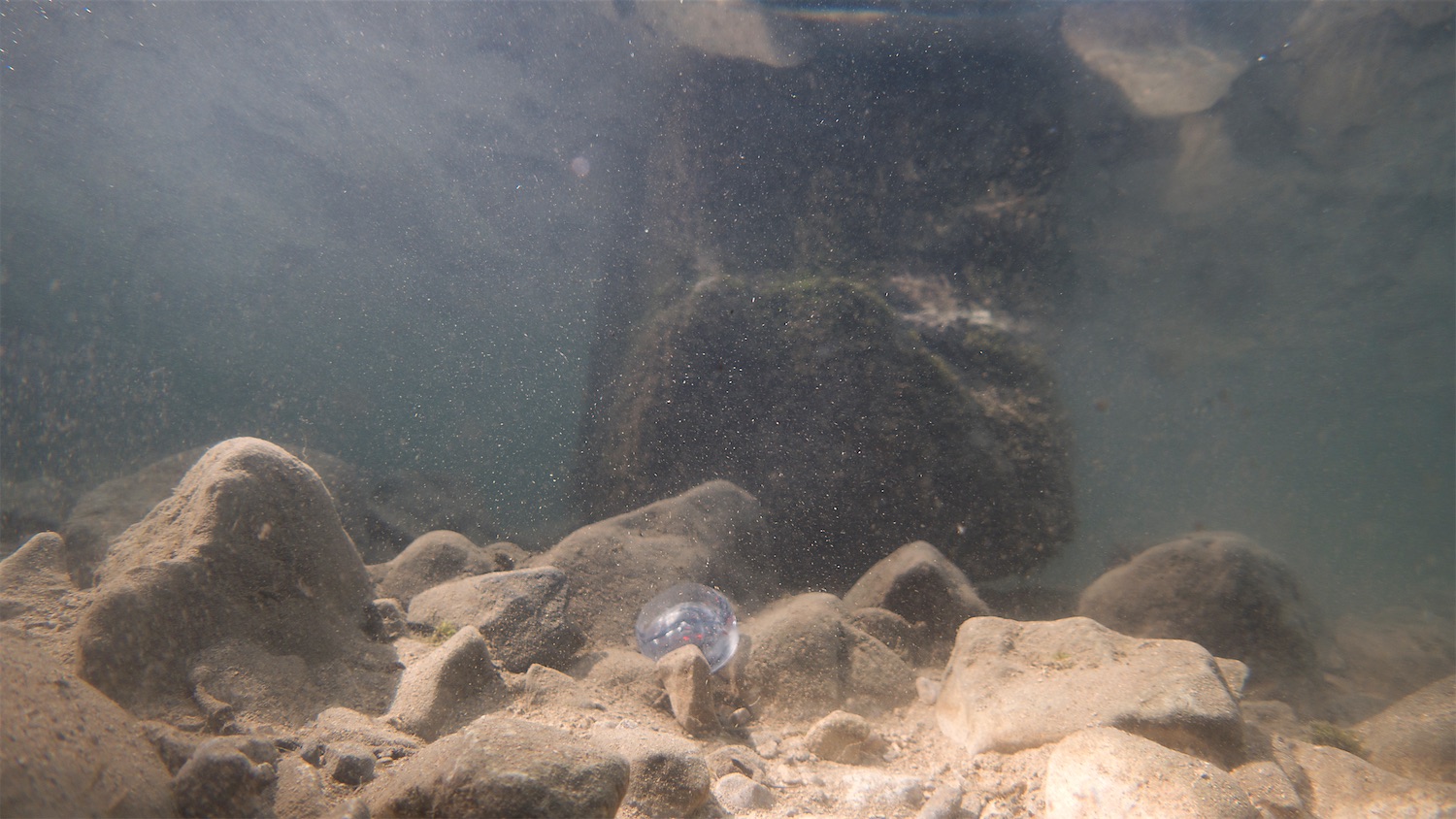 A landscape underwater photograph with muddy browns, sandy yellows and murky greens blues. The image is taken from just under the surface of the water where a mirrored like effect can be seen, reflecting the body of water. This can be seen at the top of the image. In the middle further at the back of this image is a dark large rock with plant matter living from it. In front of this rock and at the bottom of this photograph is an underwater floor of varied sized rocks, light and dark browns and sand colours. The rocks have curved and sharp edges, many of which look like small pyramids with smoothed out edges, laid onto the ground. The sunlight has penetrated the water and has some beams landing on this floor and onto these rocks. Catching one of these sun beams and in amongst the rocks, in the bottom middle section of this image is a small sculpture which looks like a glass disk. It has a light milk like quality to some aspects of it, although the disk does look see-through and inside of it you can see a face. It is the artists face. This glass disk is a hand made backgammon piece belonging to some of the artists other sculptural works.