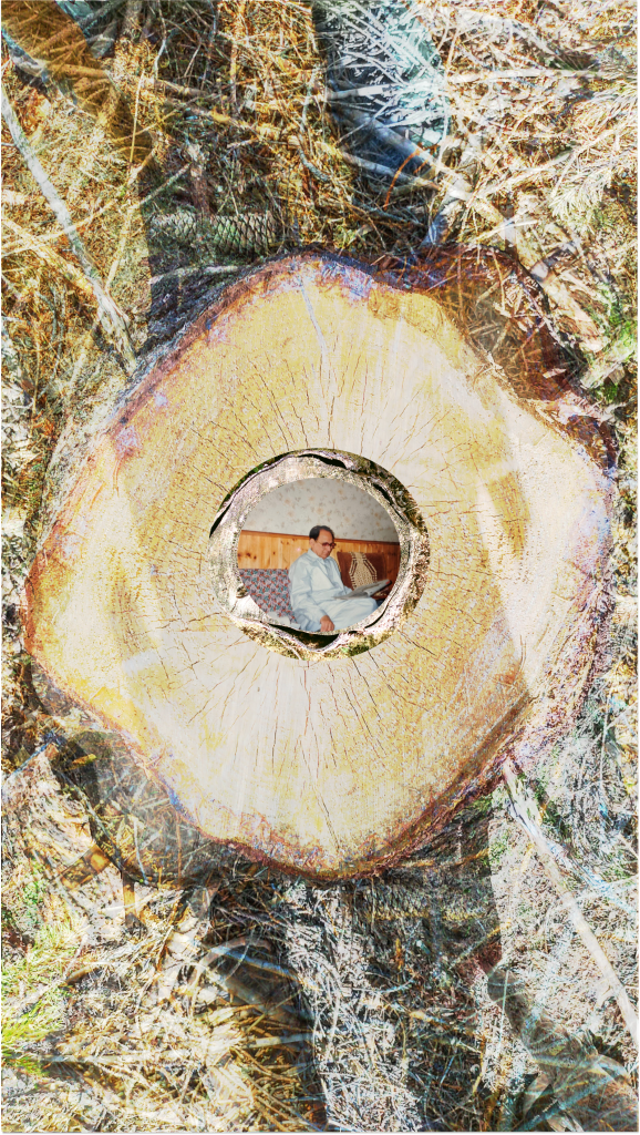 The top face of a tree stump is photographed from above. At its centre is a perfectly round image of my grandfather reading a newspaper. The round image has its own outer ring of a separate darker brown trunk. 