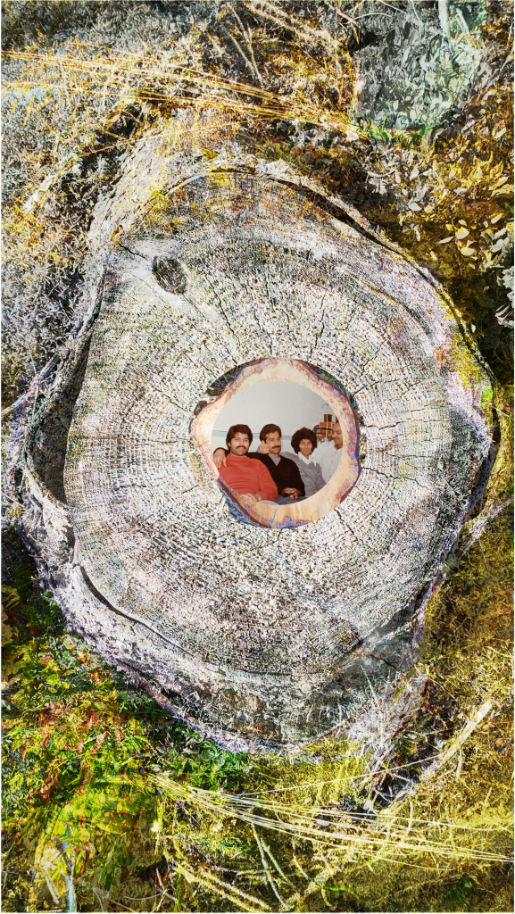 Another tree stump holds another perfectly round family photo. This tree stump has greying-green moss at its sides and a little on its cut trunk. The image at the centre is of my father and his three brothers. Their image is framed by another chopped tree trunk that is brighter and more yellow in colour. 