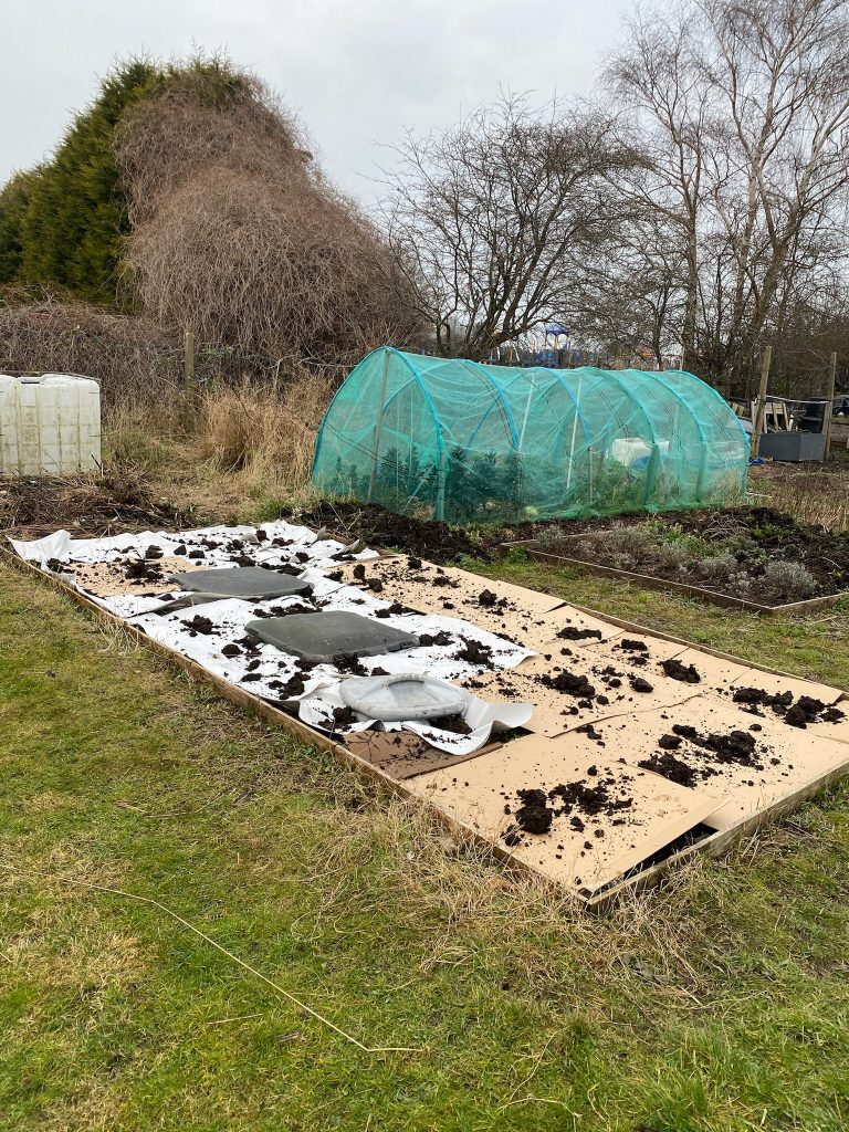 A digital photograph (portrait, colour), of what looks like some kind of garden or allotment plot on a winters day. There are bare trees in the background, and in front of them is a polly-tunnel covered in green mesh and some plants growing inside. In the foreground is a large rectangular raised bed covered in cardboard and what looks like a scattering of compost.