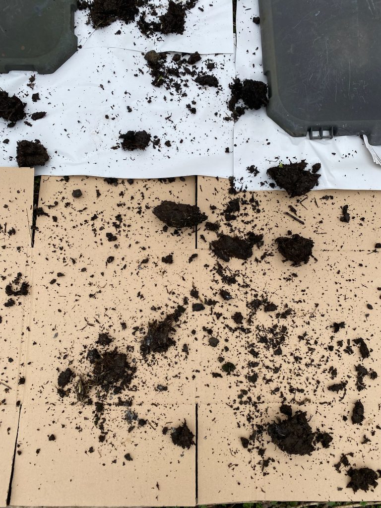 a digital photograph (portrait, colour), of what looks like a close up detail of some card board and paper on the ground, with big clods of compost or dirt scattered on top.
