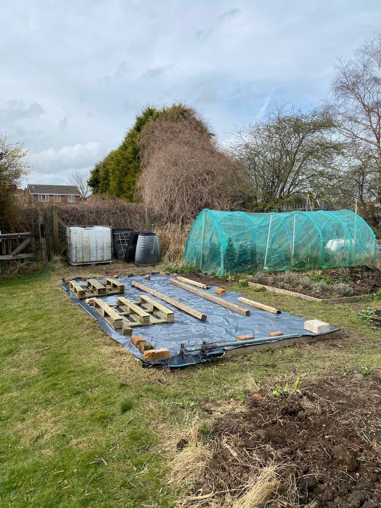 A digital photograph (portrait, colour), of what looks like some kind of garden or allotment plot on a winters day. There are bare trees in the background, and in front of them is a polly-tunnel covered in green mesh and some plants growing inside. In the foreground is what looks like a large rectangular raised bed covered in grey-black plastic sheeting. It looks like it is weighed down with lots of random objects such as timber, pallets and bricks.