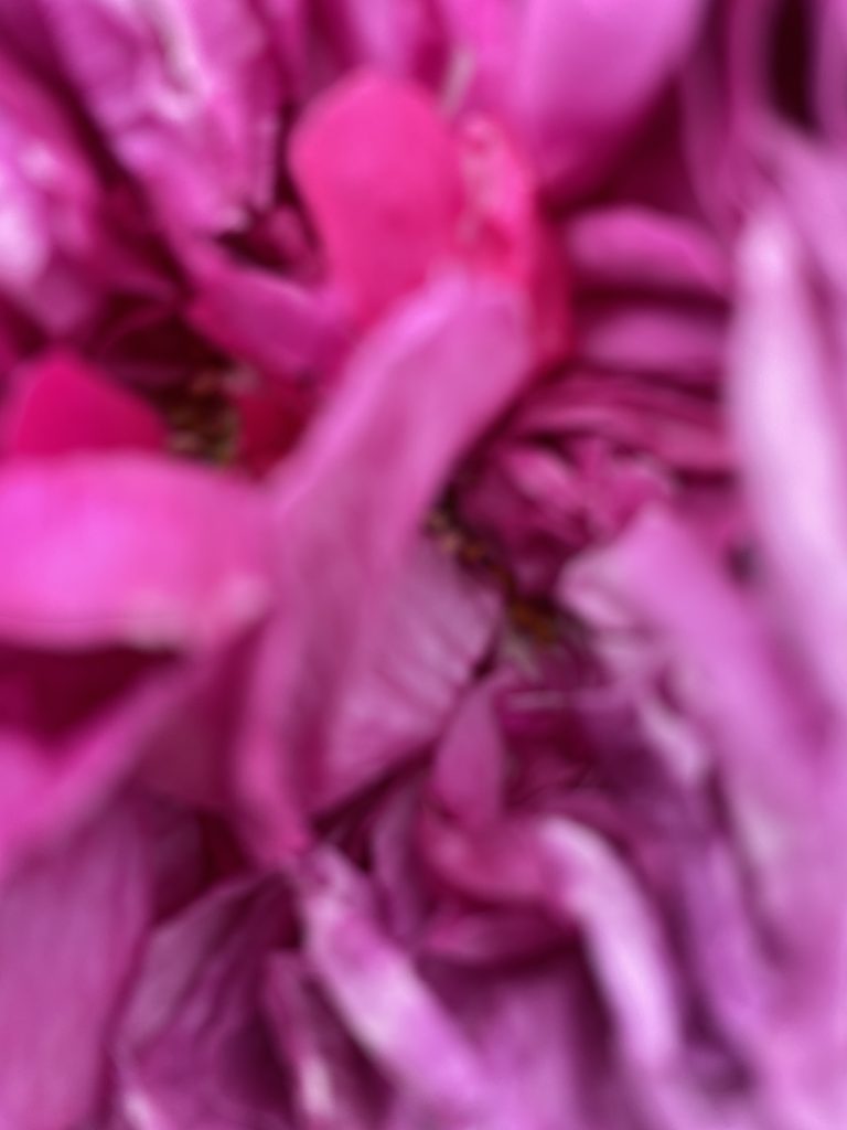 A digital photograph (portrait, colour) of what looks like a blurry image of some kind of organic shape. The image is in shades of deep pink, fuchsia, pale pinks and dusky pinks. There is a lot of texture to the image, but it isn't clear what it is depicting. It looks like a scrunched up silk handkerchief, a blouse of thick coloured smoke, the petals of a flower or the stokes of a paintbrush of an abstract painting.  