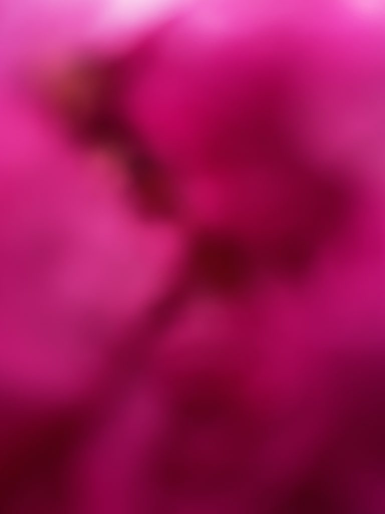 A digital photograph (portrait, colour), of what looks like an abstract image in shades of bright pink, fuschia, deep reds and burgundy. It looks like some kind of far off star nebulas, and it also looks like a an image caught on an iphone of the inside of someone's pocket; deep colours in a soft crumpled centre blurring, bright light spots across the image. 