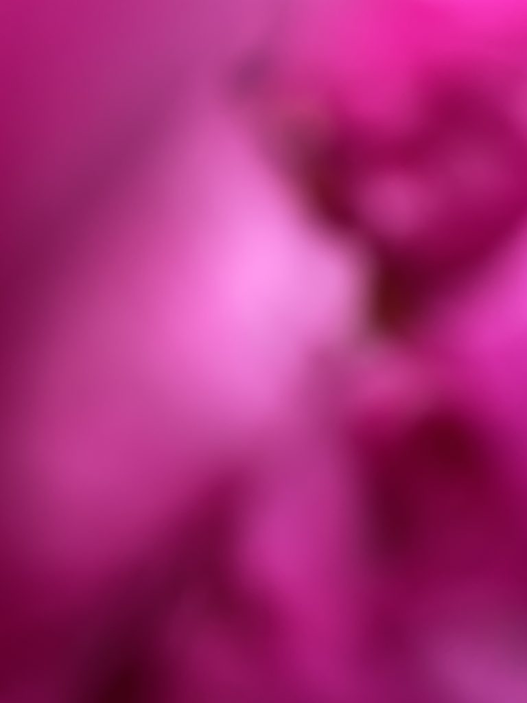A digital photograph (portrait, colour), of what looks like an abstract image in shades of bright pink, fuschia, deep reds and burgundy. It looks like some kind of far off star nebulas, and it also looks like a an image caught on an iphone of the inside of someone's pocket; deep colours in a soft crumpled blurring centres, bright light spots across the image. There is a hint of the image depicting some kind of organic shape, but it is still very abstract.