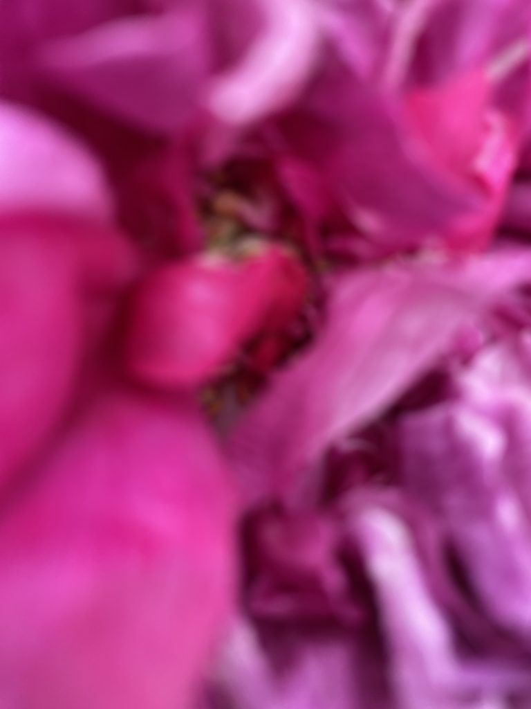 A digital photograph (portrait, colour) of what looks like a blurry image of some kind of organic shape. The image is in shades of deep pink, fuchsia, pale pinks and dusky pinks. There is a lot of texture to the image, but it isn't clear what it is depicting. It looks like a scrunched up silk handkerchief, a blouse of thick coloured smoke, the crumpled petals of a flower or the stokes of a paintbrush of an abstract painting.  