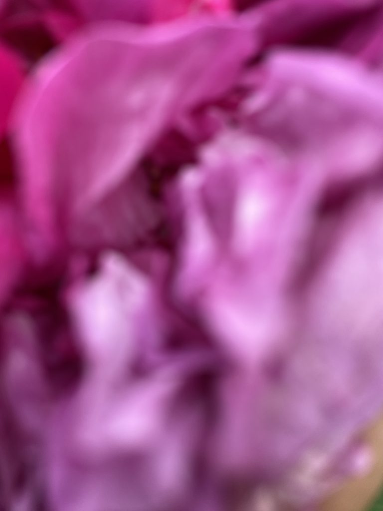A digital photograph (portrait, colour) of what looks like a blurry image of some kind of organic shape. The image is in shades of deep pink, fuchsia, pale pinks and dusky pinks. There is a lot of texture to the image, but it isn't clear what it is depicting. It looks like a scrunched up silk handkerchief, a blouse of thick coloured smoke, the crumpled petals of a flower or the stokes of a paintbrush of an abstract painting.  