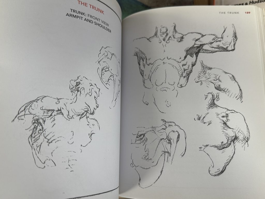 An image of an open book. The left page shows a man's trunk sketched and his head turned to the side. The right page includes a few sketches each focusing on different sections of the trunk. 