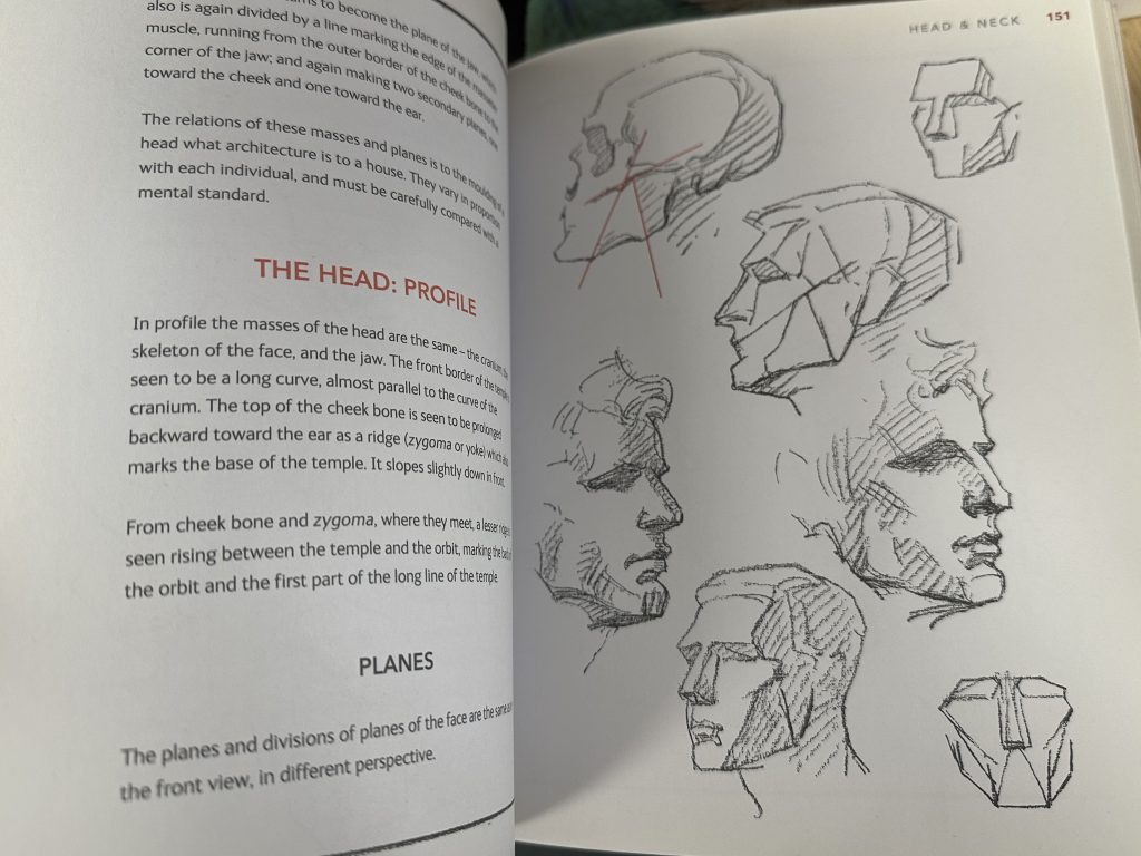 An image of an open book. The left pag has text explaining how different parts of the head come together. The right page includes a few sketches each focusing on different aspects of a head such as the skull and different perspectives. 
