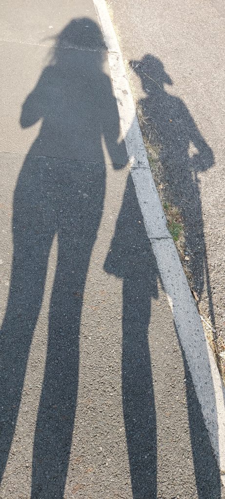 Long shadows of two people stretch across a sunlit paved path. One is holding the other one's arm. One shadow appears taller and broader, while the other is slimmer and carries a long object resembling a walking stick or cane. They are divided by a raised curb. The low-angled sunlight creates strong contrast between the dark shadows and the bright pavement.
