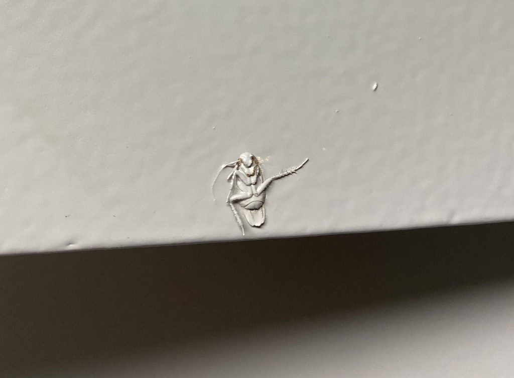 Eight image gallery showing insects in different precarious positions. First a spider painted over a white wall, second and third: two cockroaches painted over a wall, fourth: a grasshopper somehow fossilised in cement, fifth, sixth and seventh: more spiders painted into white walls, and eight: an image of a large number of daddy long legs clustered onto the corner of a ceiling piled on top one another as if to look like a collection of hairy legs. 
